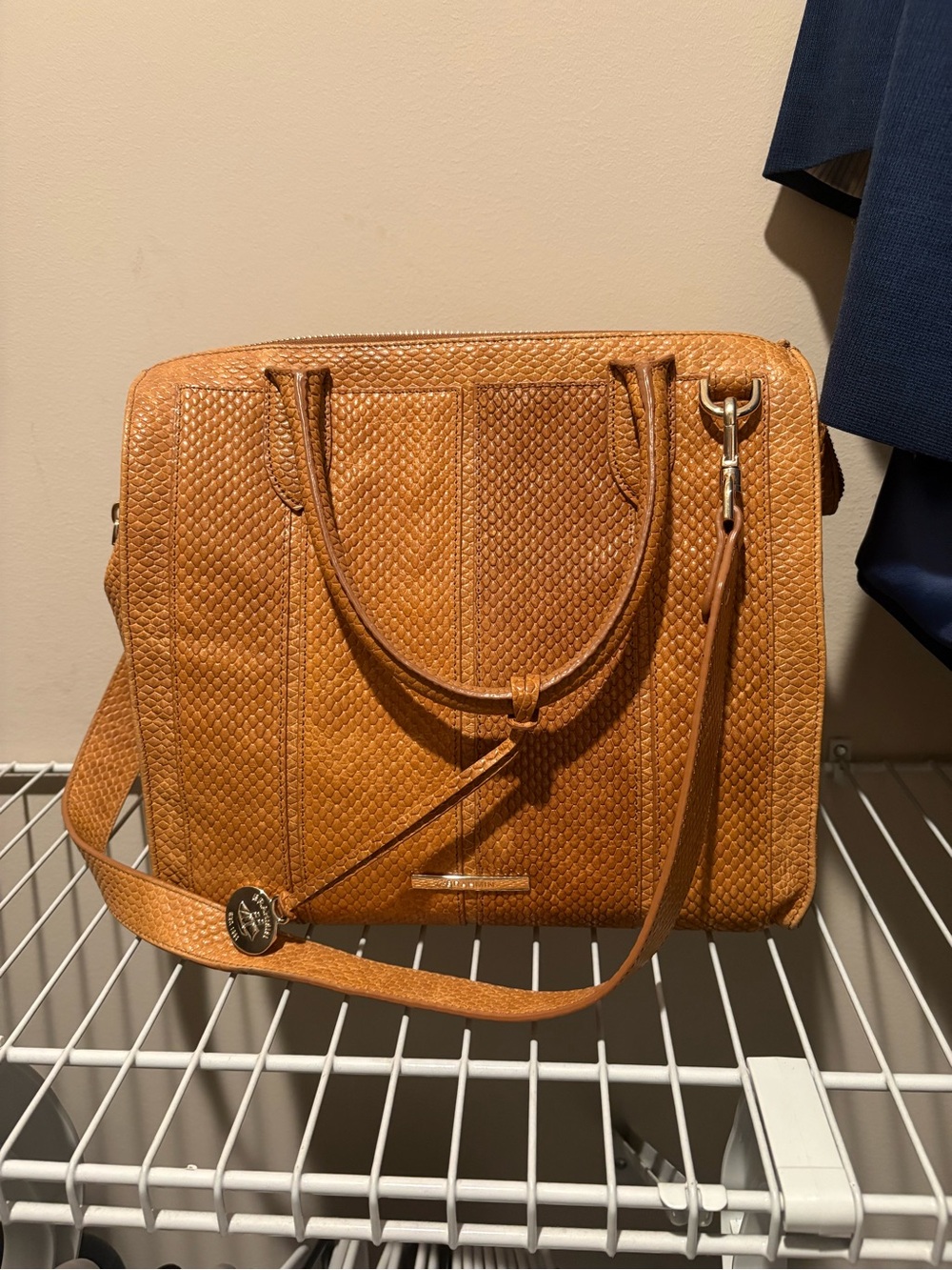Brahmin Leather Tote Bag in Tan